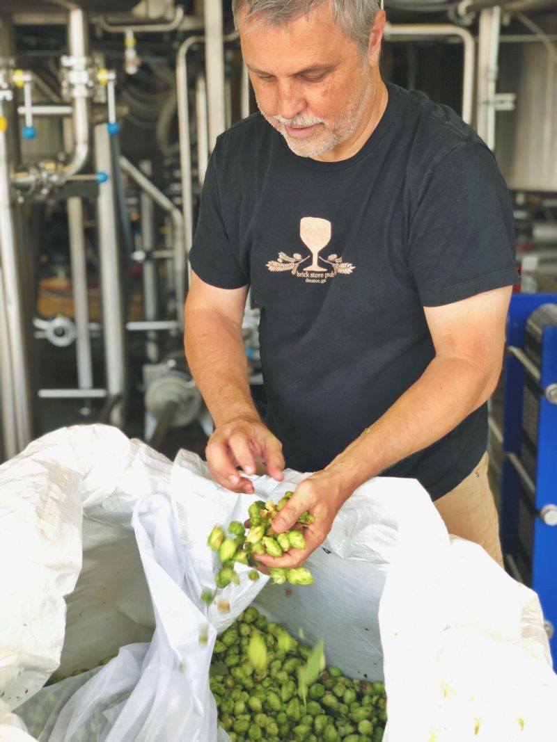 three tavern cutting Fresh hops